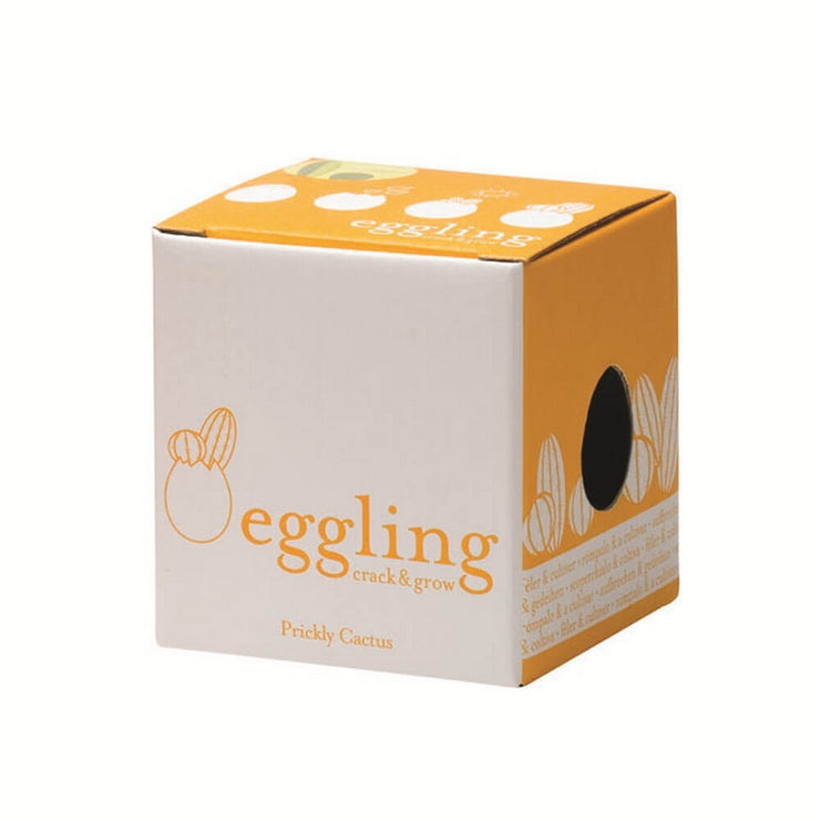 NOTED - Eggling cactus box