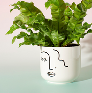 Abstract face large planter