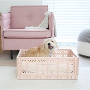 Large storage box - milk tea - adorable and practical storage for kids 