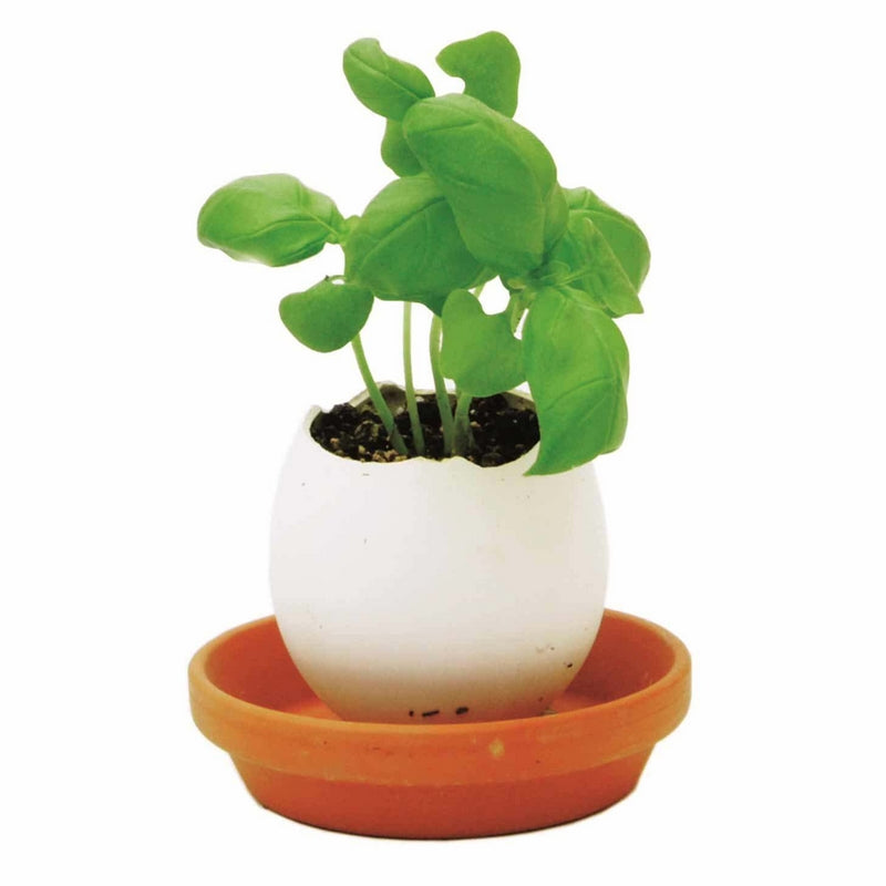 Basil Eggling
