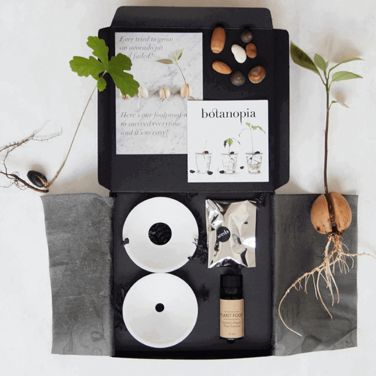 BOTANOPIA - Deluxe Germination & Propagation Gift Set