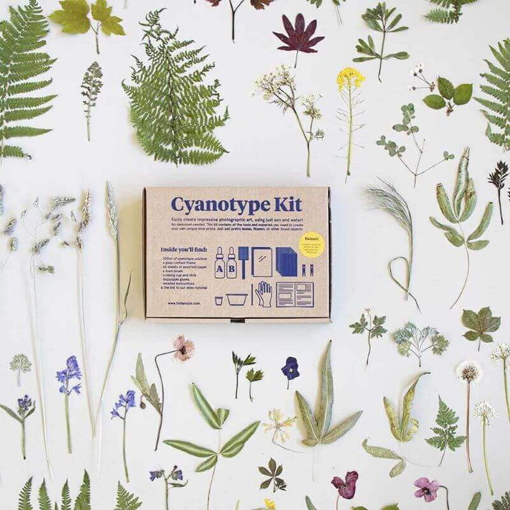 BOTANOPIA - Cyanotype Kit – DIY kit to create your own gorgeous prints