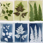BOTANOPIA - Cyanotype Kit – DIY kit to create your own gorgeous prints