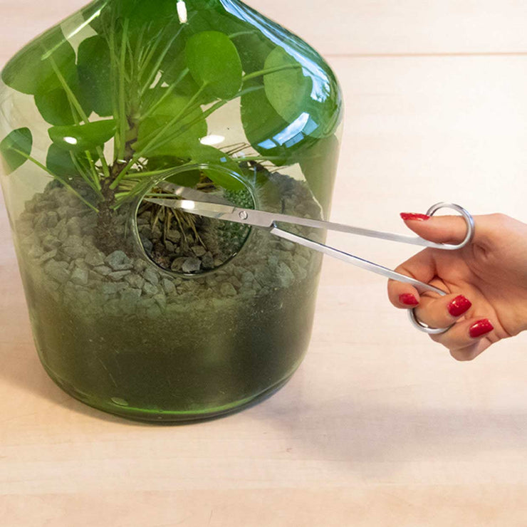 Terrarium scissors
