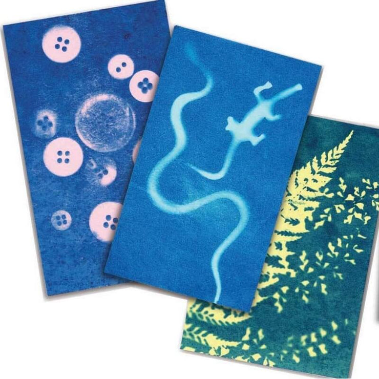 Cyanotype - Sunography card