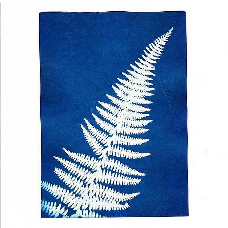 Cyanotype - Sunography card