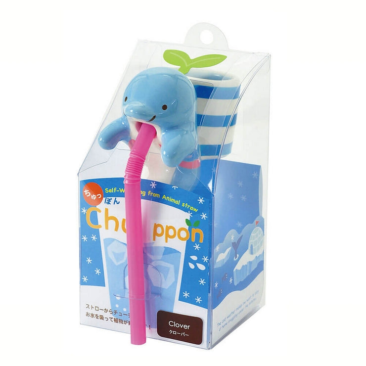 NOTED CO - Grow your own clover - Dolphin
