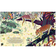 Kid's book - Jungles and nature reserves of the world