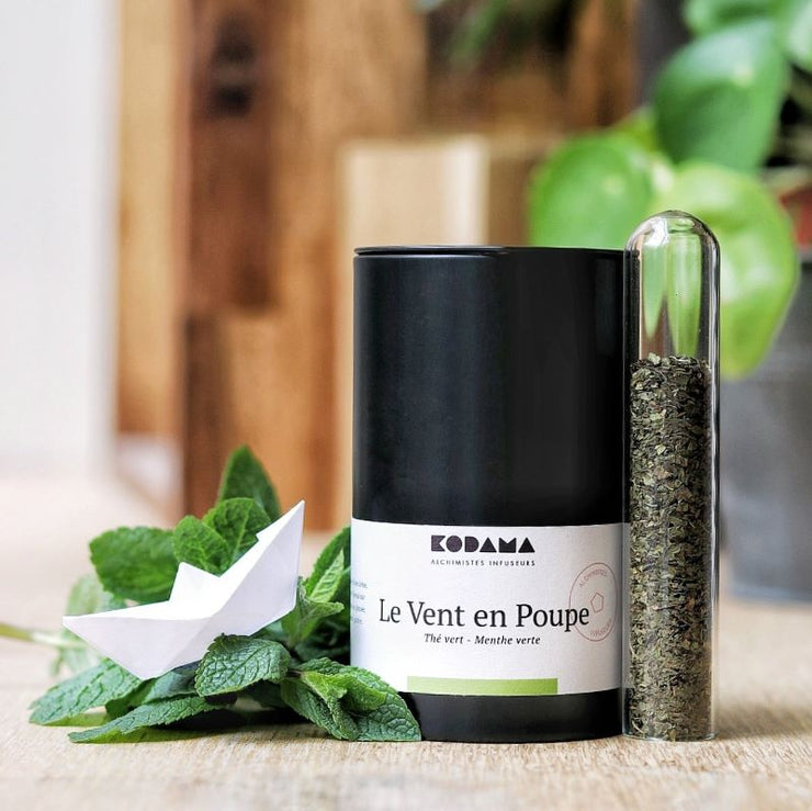 KODAMA - "le vent en poupe" tea - green tea, mint - fresh and vegetal