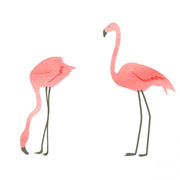 Mimilou - stickers for kids bedroom - just a touch - pink flamingos fun and cute - made in France