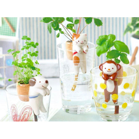 cat self watering plant NOTED - Grow your own wild strawberry plant - self-watering cat