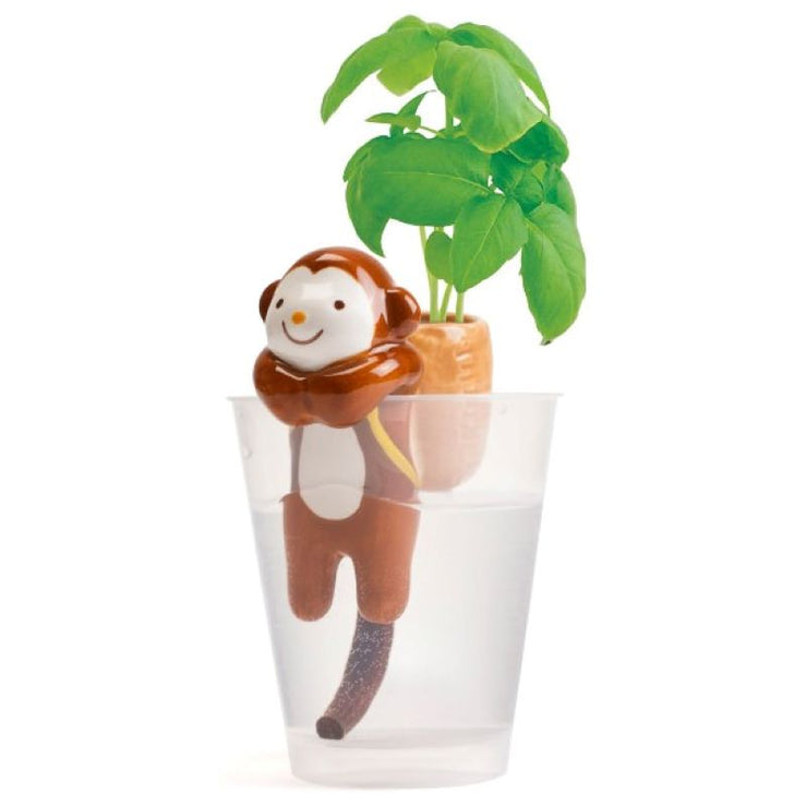 NOTED - grow your own basil plant easily - self-watering monkey
