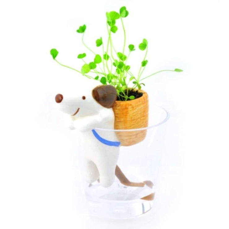 NOTED - grow your own clover - self-wtaering cute little dog - gift idea for kids