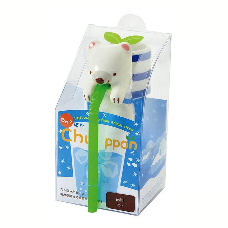 Grow your own mint - Polar bear