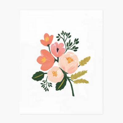 Poster - Rose botanical