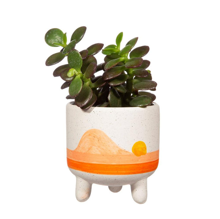 Sunset - Mini planter