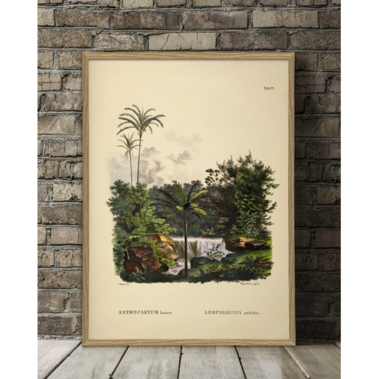 THE DYBDAHL CO. - Astrocaryum wall poster palm trees - Wall French