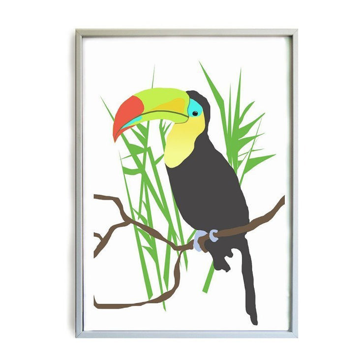 Toucan poster