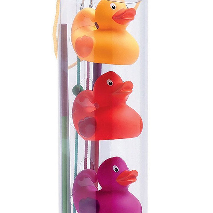 Fishing ducks - Rainbow