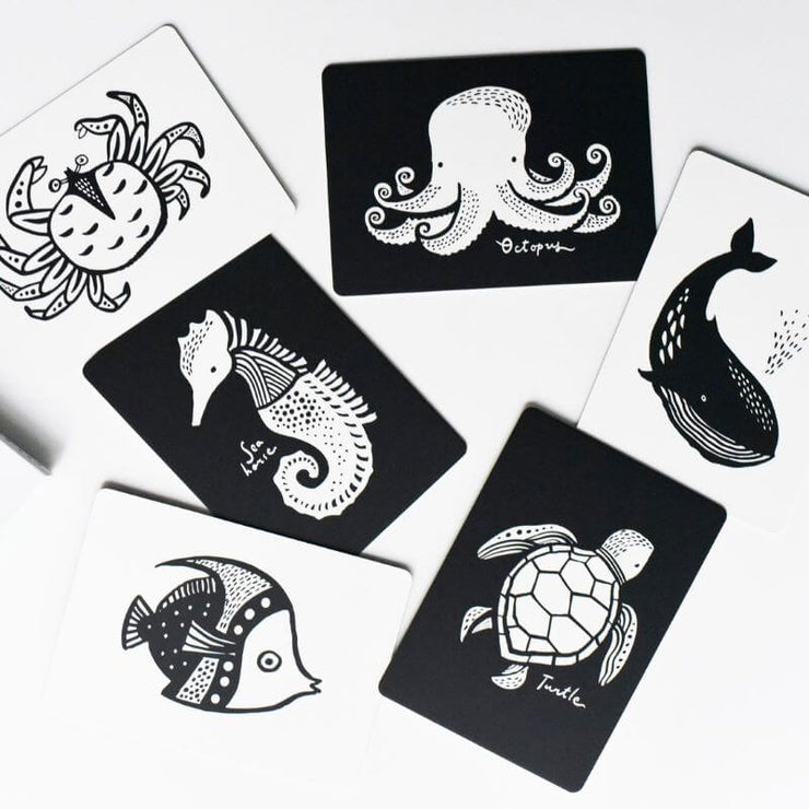 WEE GALLERY - art cards for baby - ocean - visual perception development