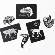 WEE GALLERY - art cards for baby - rainforest - visual perception development