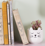 Mini cat planter