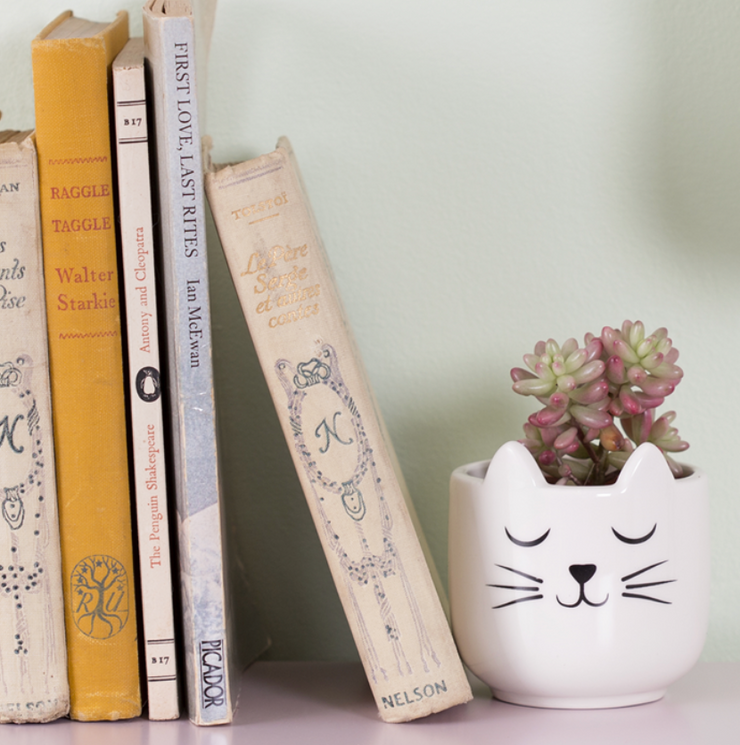 Mini cat planter