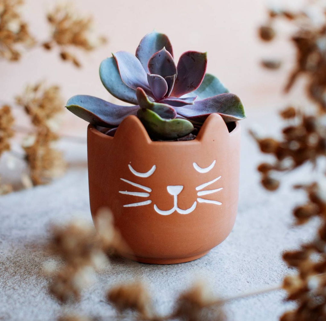 terracotta cat planter pot Terracotta cat