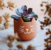 Terracotta cat - Mini planter