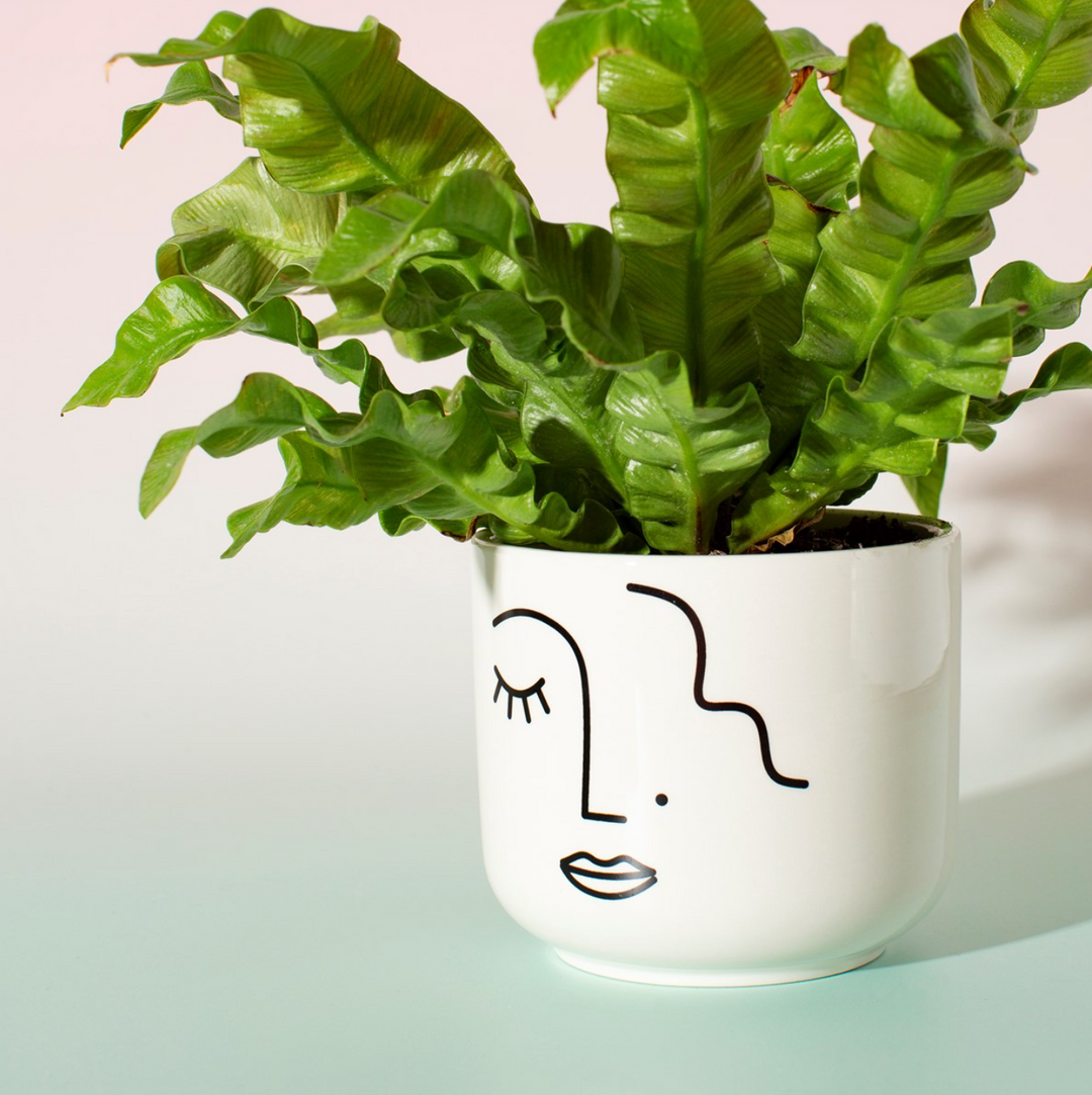 abstract planter pot SASS & BELLE Abstract face large planter – French Blossom