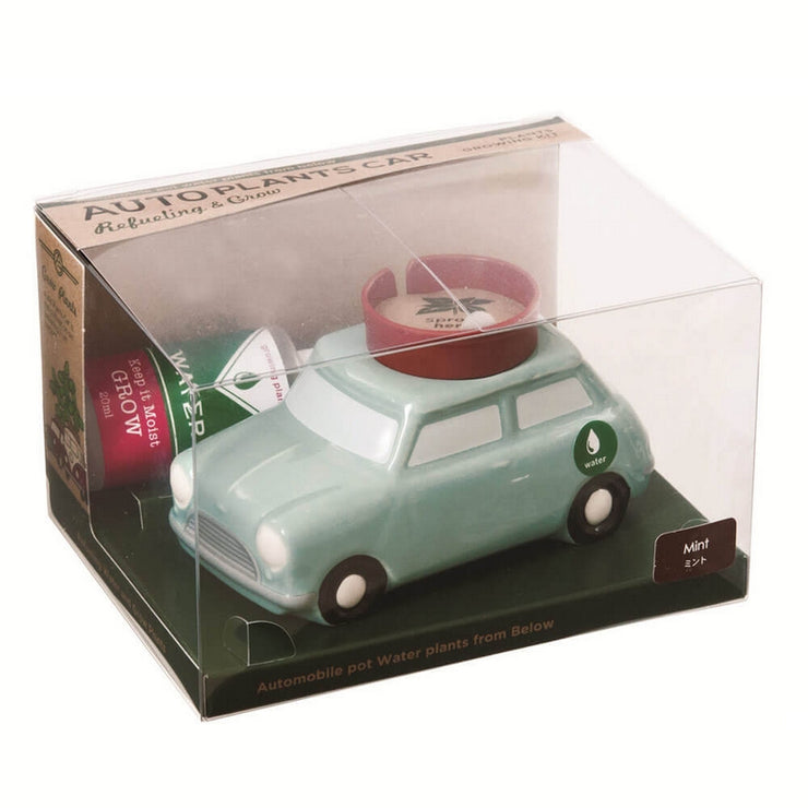 NOTED - Self watering plant - Blue car - Box