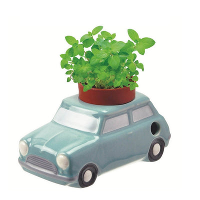 NOTED - Self watering plant - Blue car