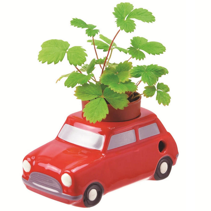 NOTED - Self watering plant - Red car