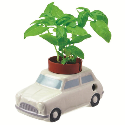 NOTED - Self watering plant - White car