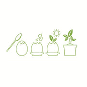 NOTED - Eggling basil instructions