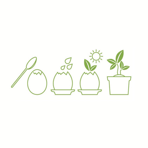 NOTED - Eggling basil instructions