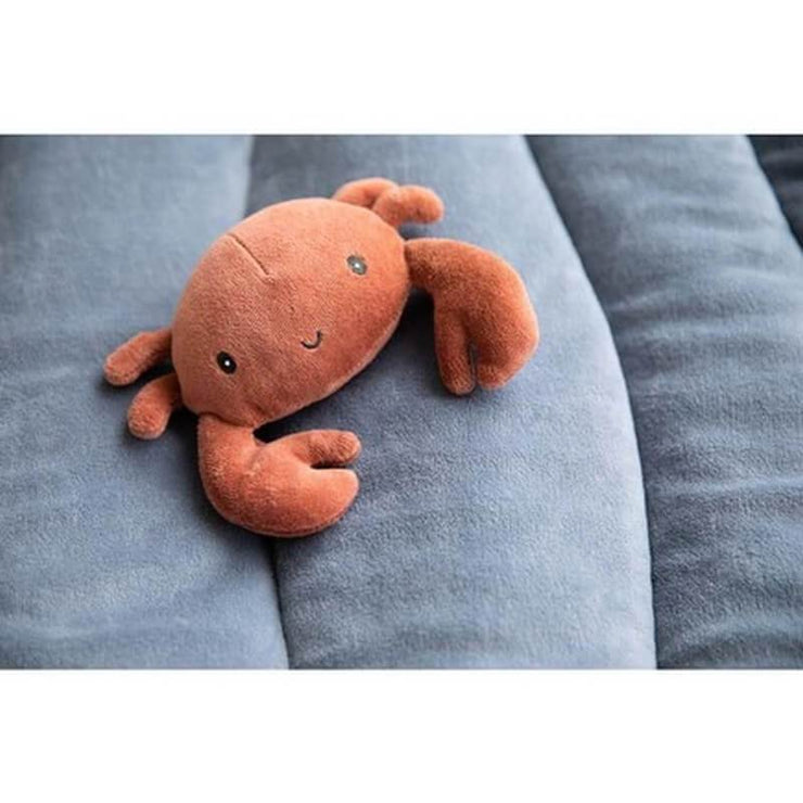 crabe-little-dutch-park-mat
