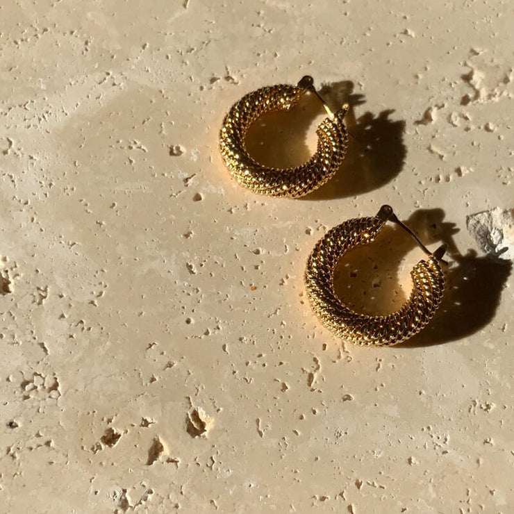 Erika earrings