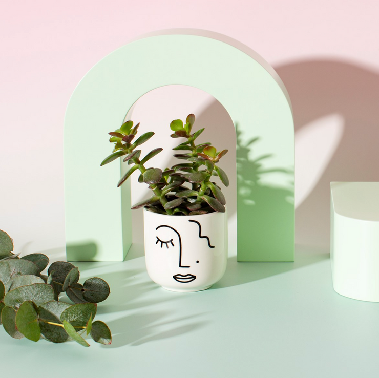 Abstract face mini planter