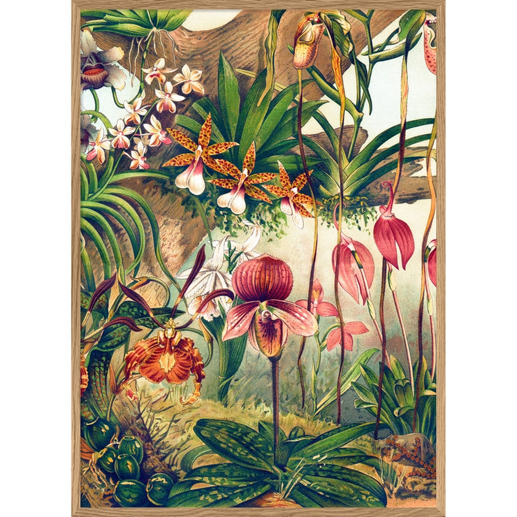 THE DYBDAHL CO - Orchids wall poster - 70 x 100 cm